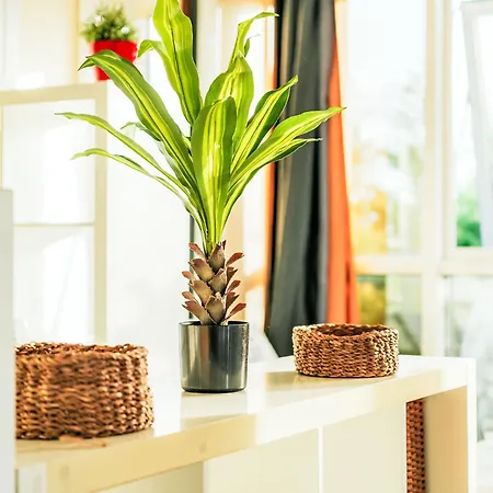 Les Balcons De La Rance By Interhome شقة